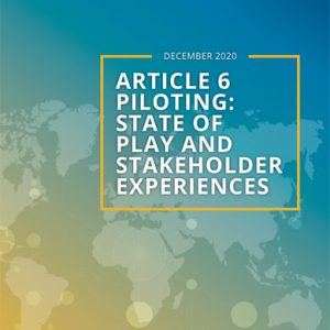 Article 6 piloting: State of play and stakeholder experiences